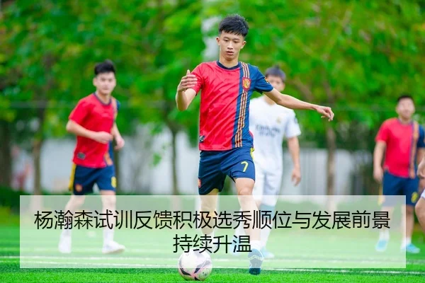 杨瀚森试训反馈积极选秀顺位与发展前景持续升温